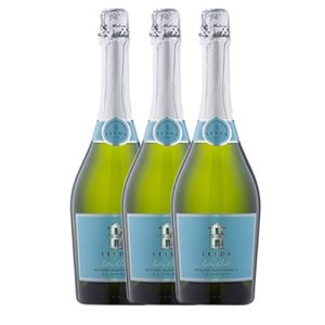 Espumante Leyda Extra Brut Método Tradicional