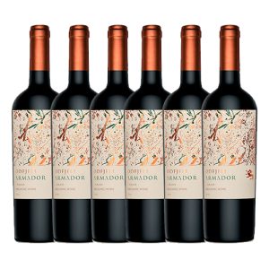 Vino tinto Odfjell Armador Carmenere