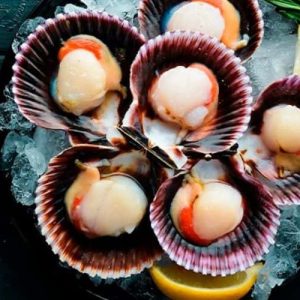 Ostión media concha peruano, 1 kg